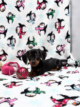 Load image into Gallery viewer, Joy 💕 Mini Dachshund ☀️Female