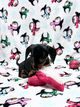Load image into Gallery viewer, Gracie 💕 Mini Dachshund ☀️Female