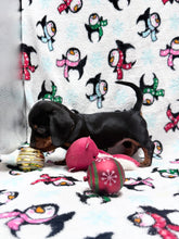 Load image into Gallery viewer, Joy 💕 Mini Dachshund ☀️Female