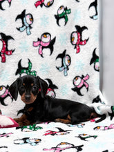 Load image into Gallery viewer, Joy 💕 Mini Dachshund ☀️Female
