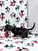 Load image into Gallery viewer, Joy 💕 Mini Dachshund ☀️Female

