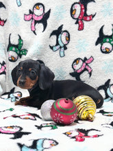 Load image into Gallery viewer, Taffy💕 Mini Dachshund ☀️Female
