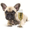 Champagne Puppies